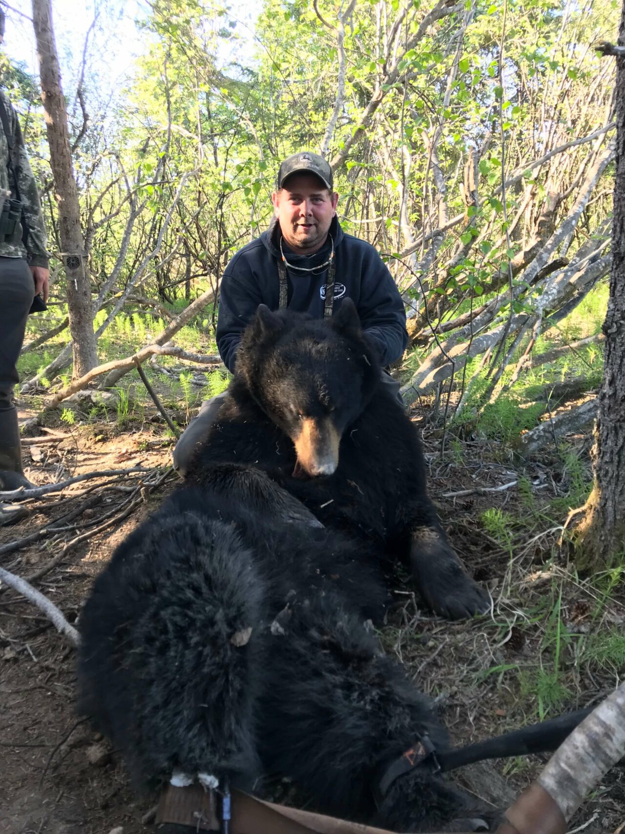 Black Bear - Alaska Guided Hunting